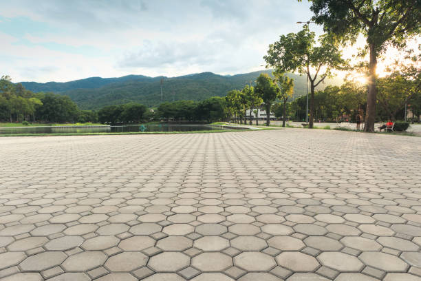 Best Driveway Paving Contractor  in Union City, NJ